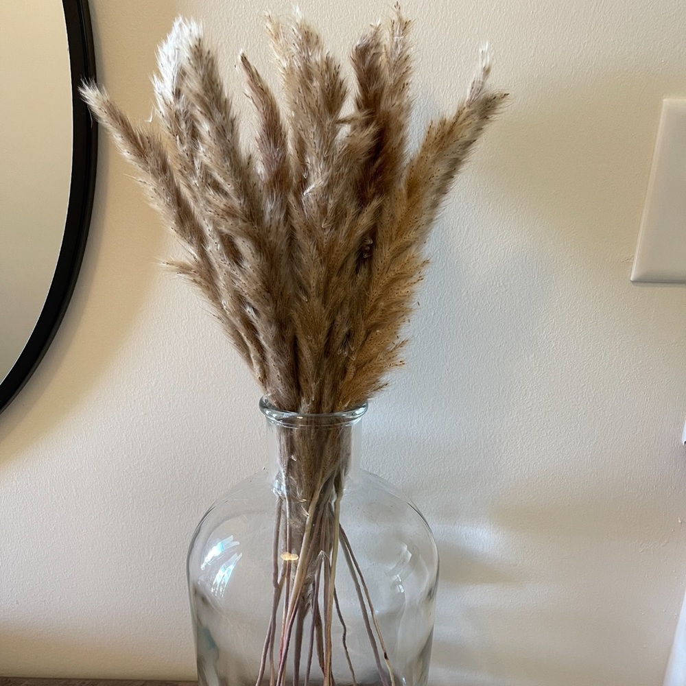 Dried Pampas Grass